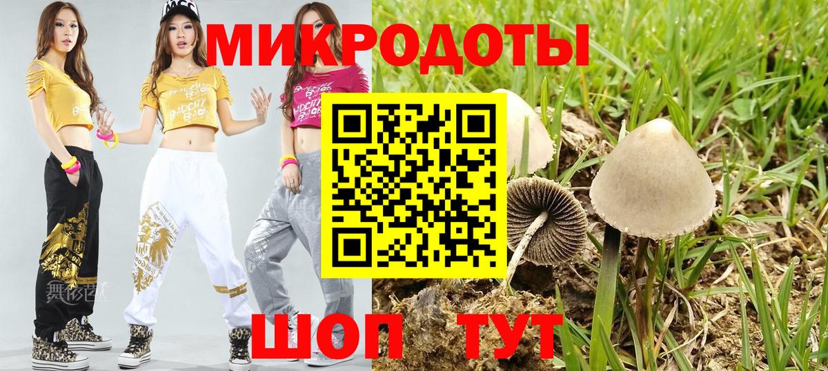 Псилоцибиновые грибы Psilocybe Белебей