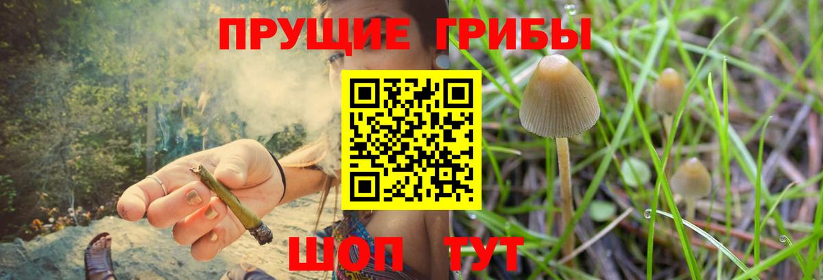 Белебей  Галлюциногенные грибы мицелий  Вход с VPN 